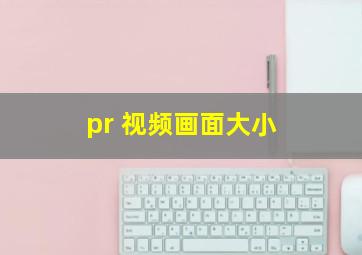 pr 视频画面大小